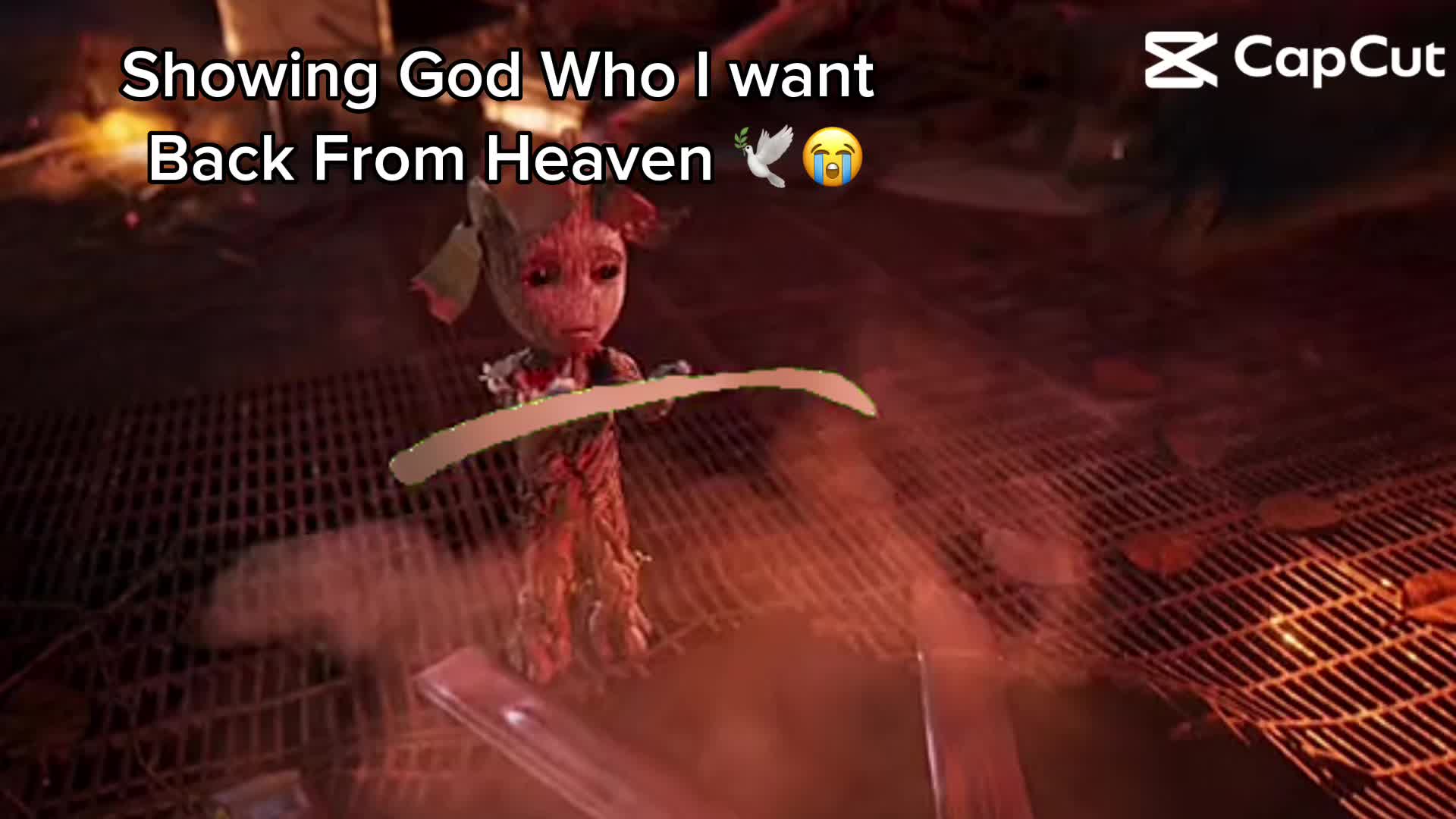 @Bonkers💫