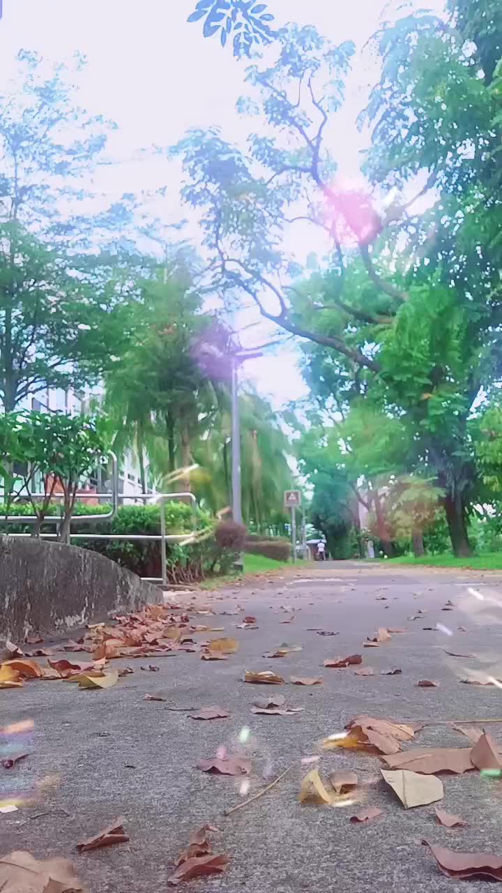 @🇵🇭💔Ro🌹se🇸🇬
