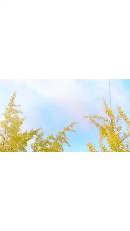 @lovefor_suju