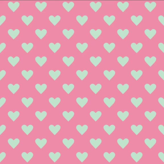 @❤CSFC KIZI❤
