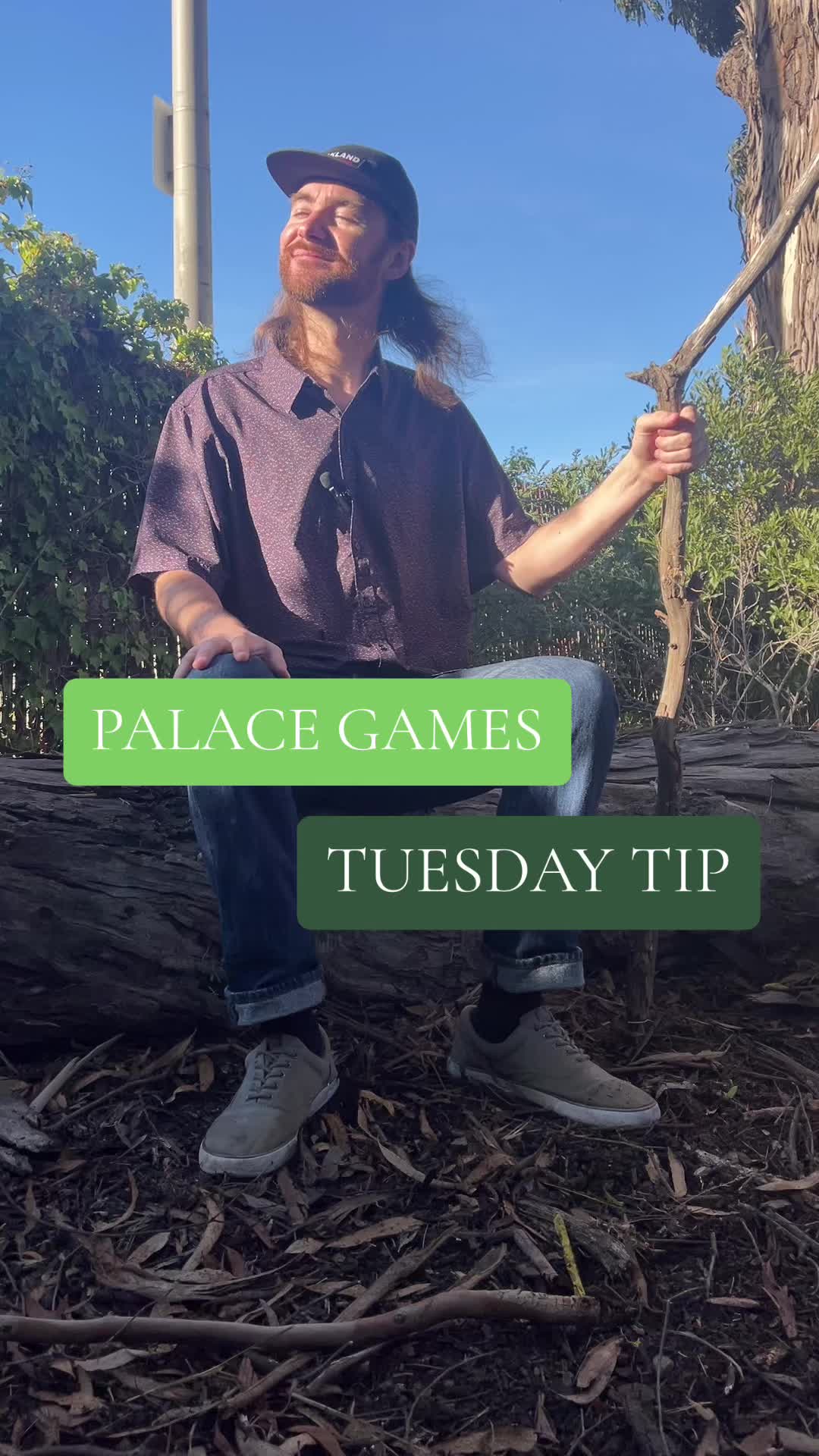 @Palace Games