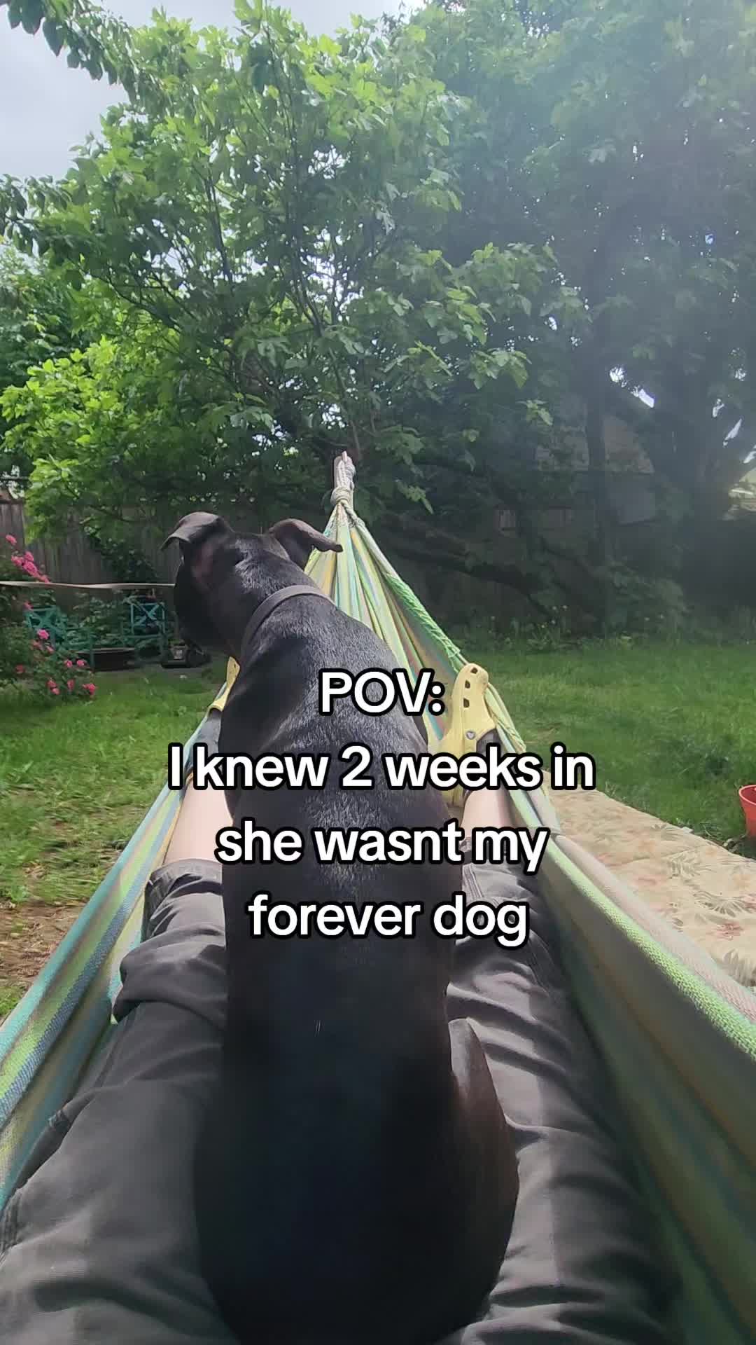 @abugstory