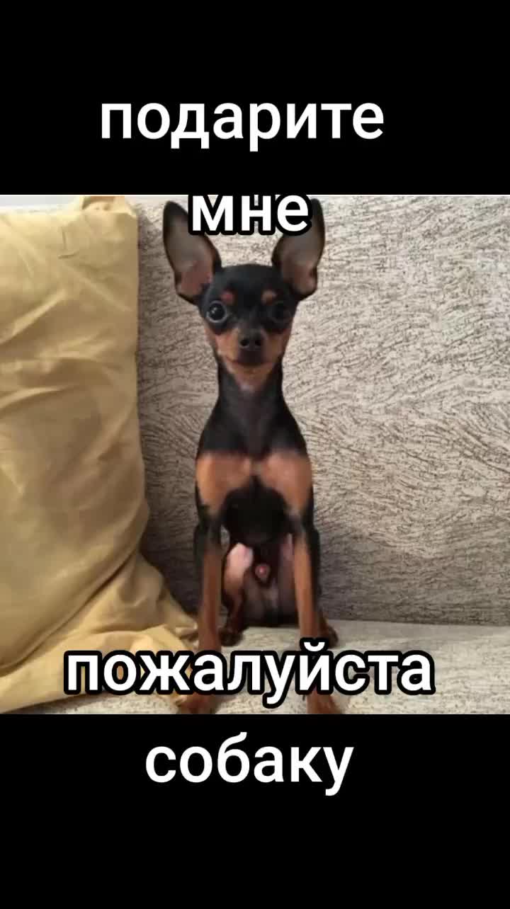 @Олеся