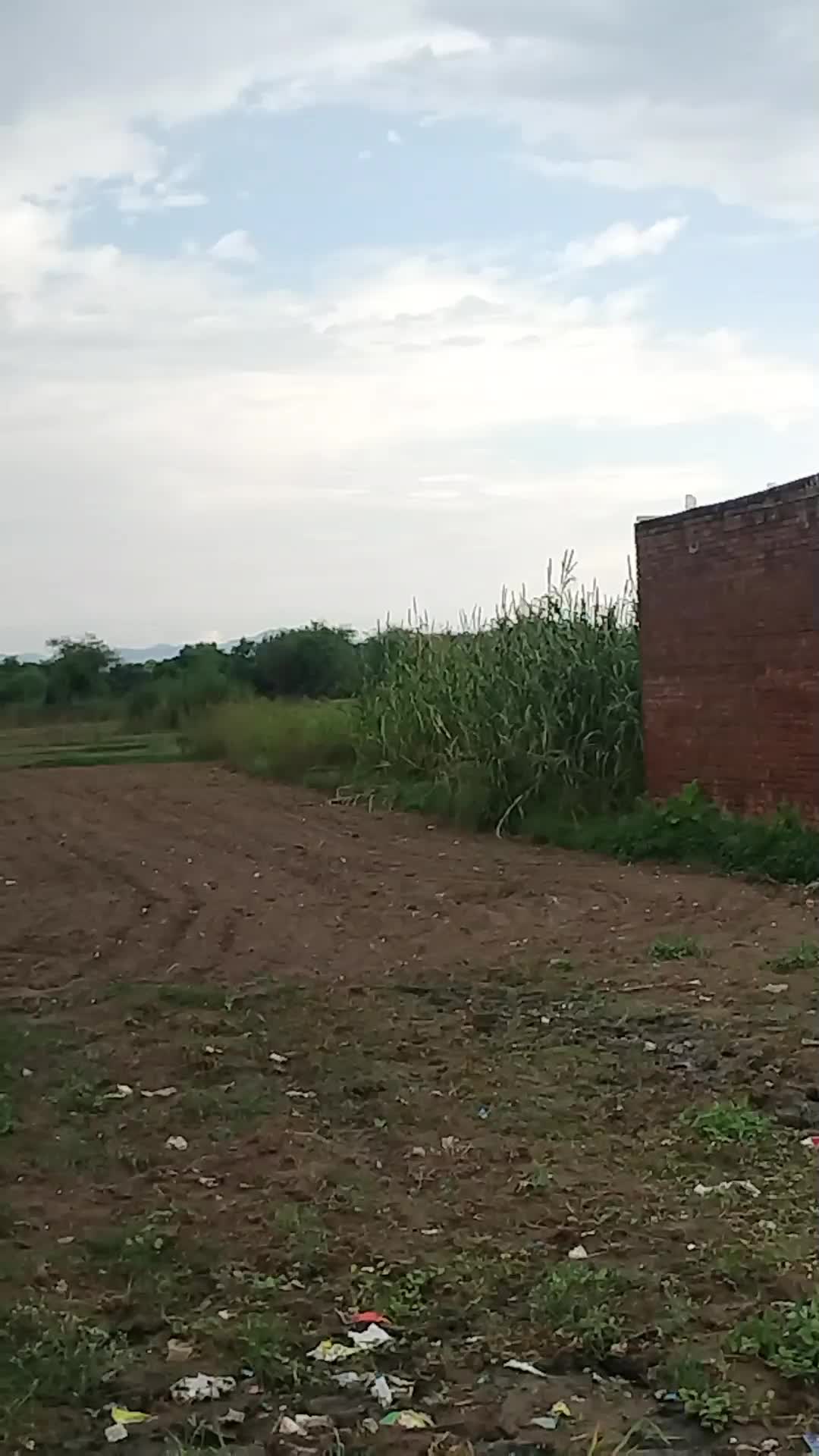 @Gujrati