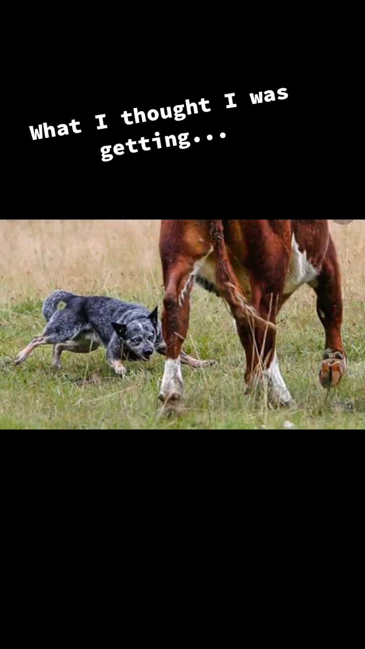 @chels_15