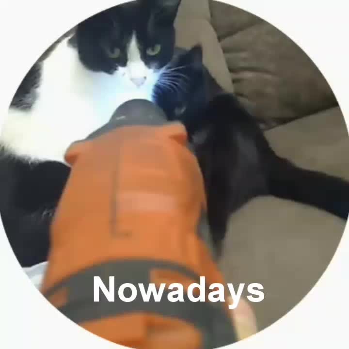 @тимур дезолятор