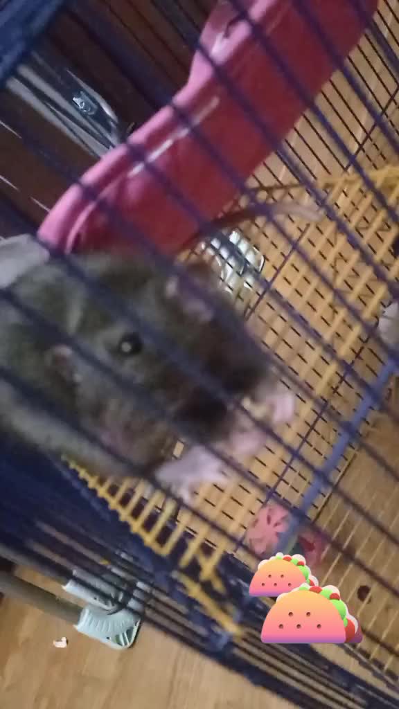 @nurtinberg
