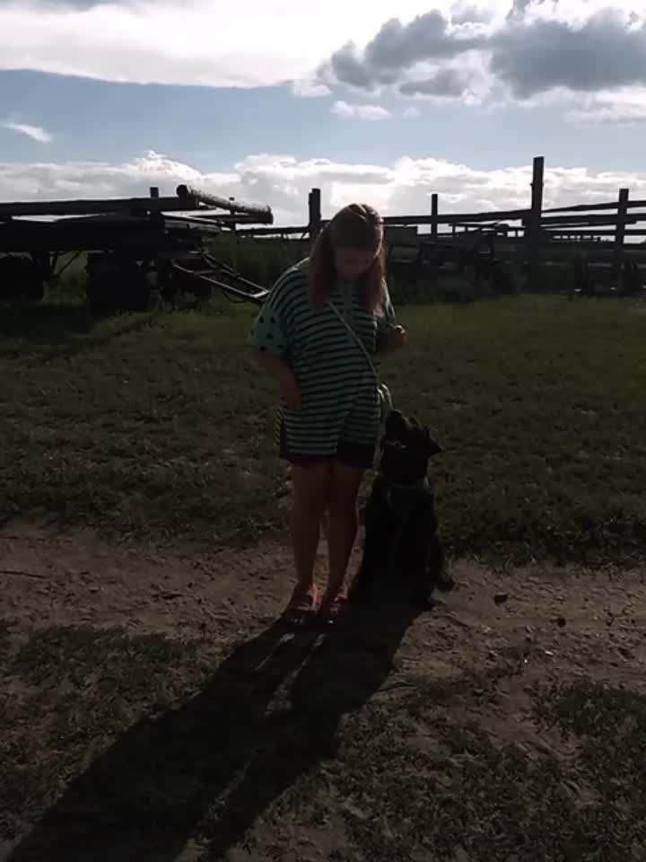 @❤️🩹🛐🐮