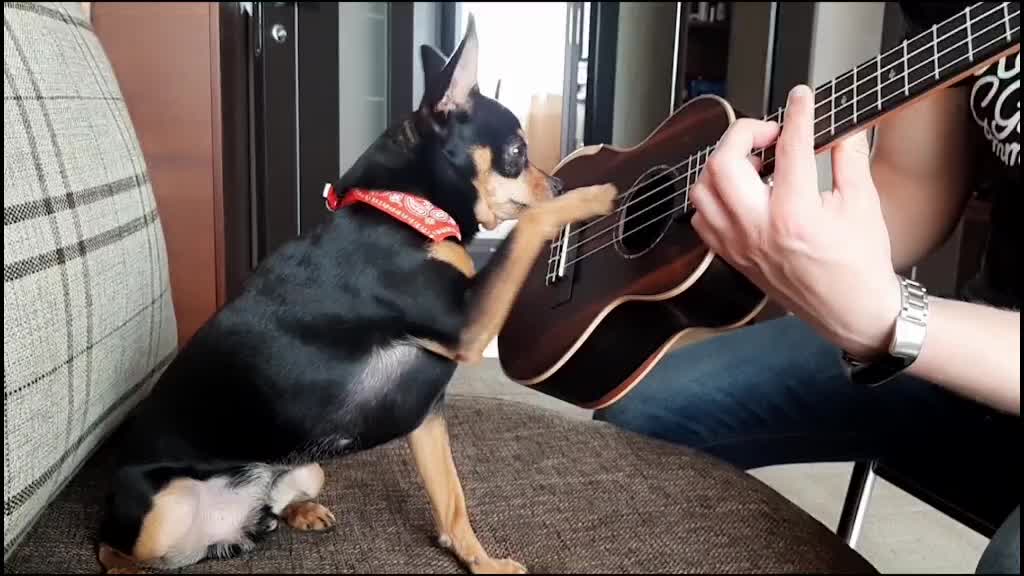 @Наташа Порядина