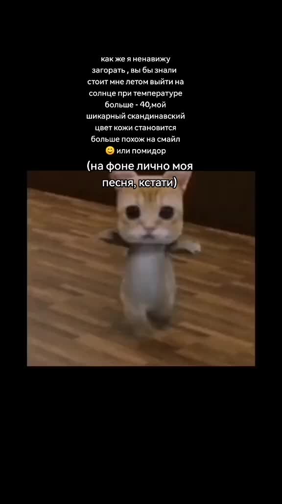 @германофил🐛