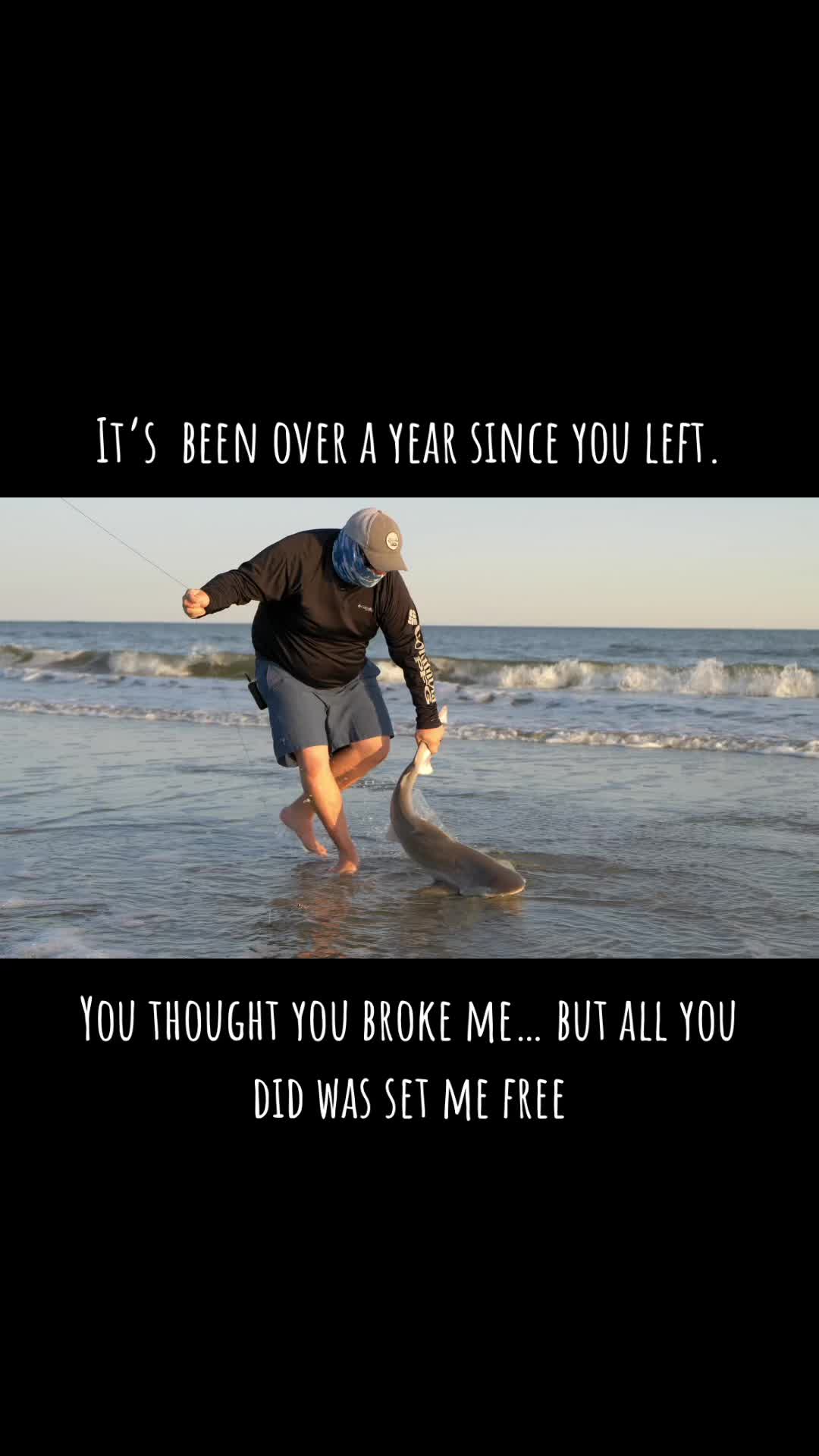 @cscsharks