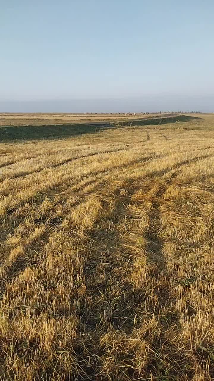 @erhan75
