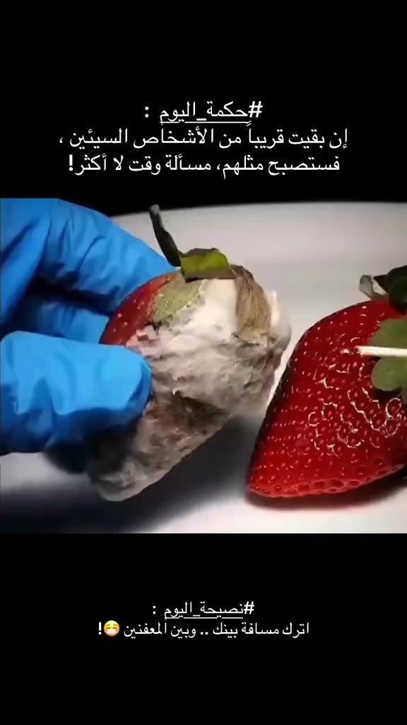 @Sarr m