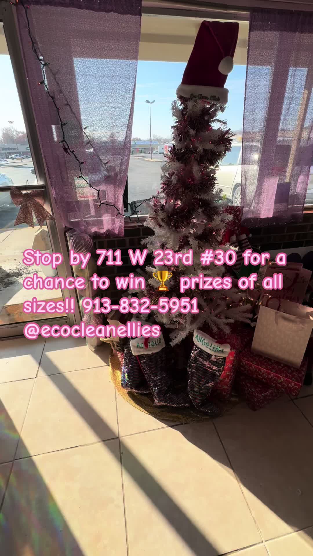 @ecocleanellies