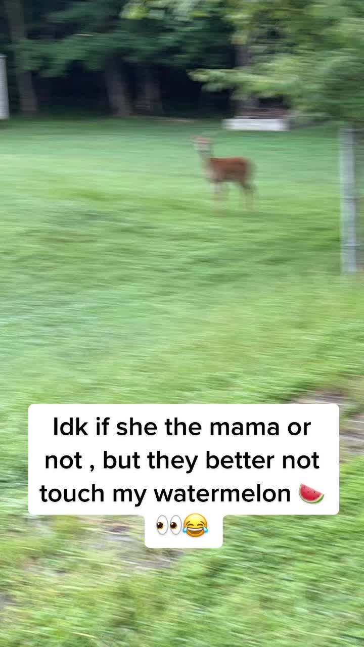 @Kadijah