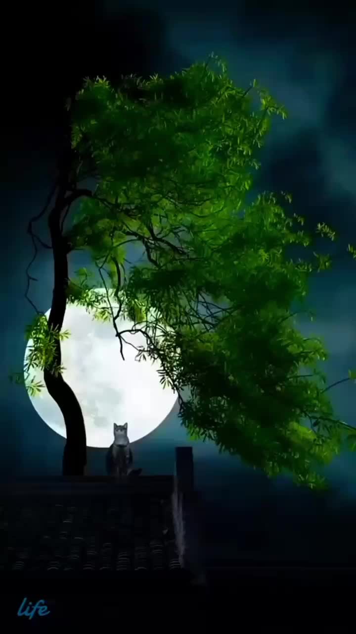 @๐๐๐ฃ๐ฉ๐๐๐๐๐ง๐จ๐๐๐ฃ๐๐