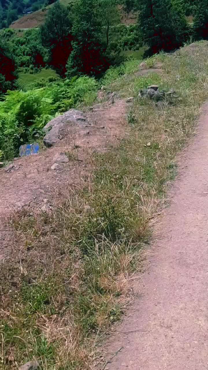 @Talısh🦅