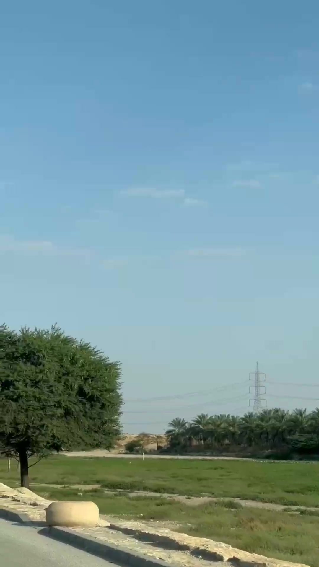@صيدلانيات