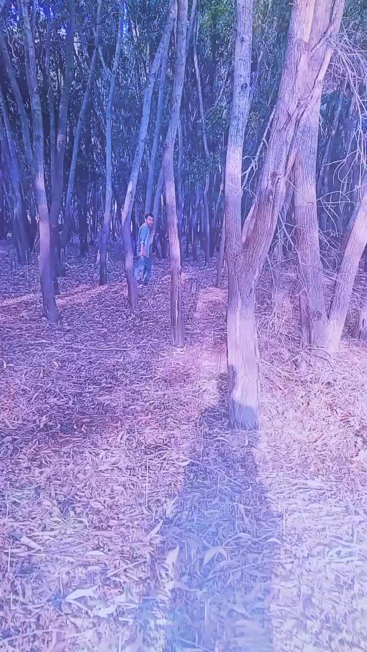 @nirajan 98