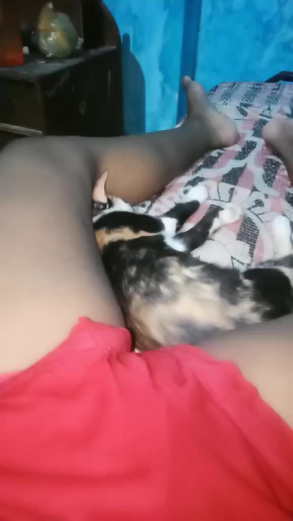 @ଗୁଞ୍ଜନ୍ ମହାପାତ୍ର