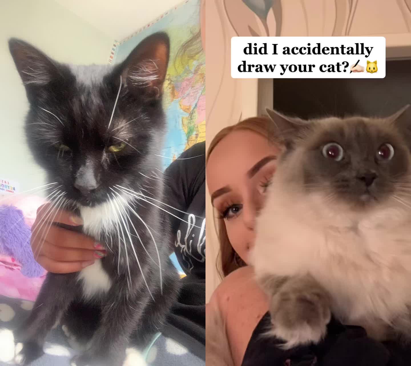 @Caitlan