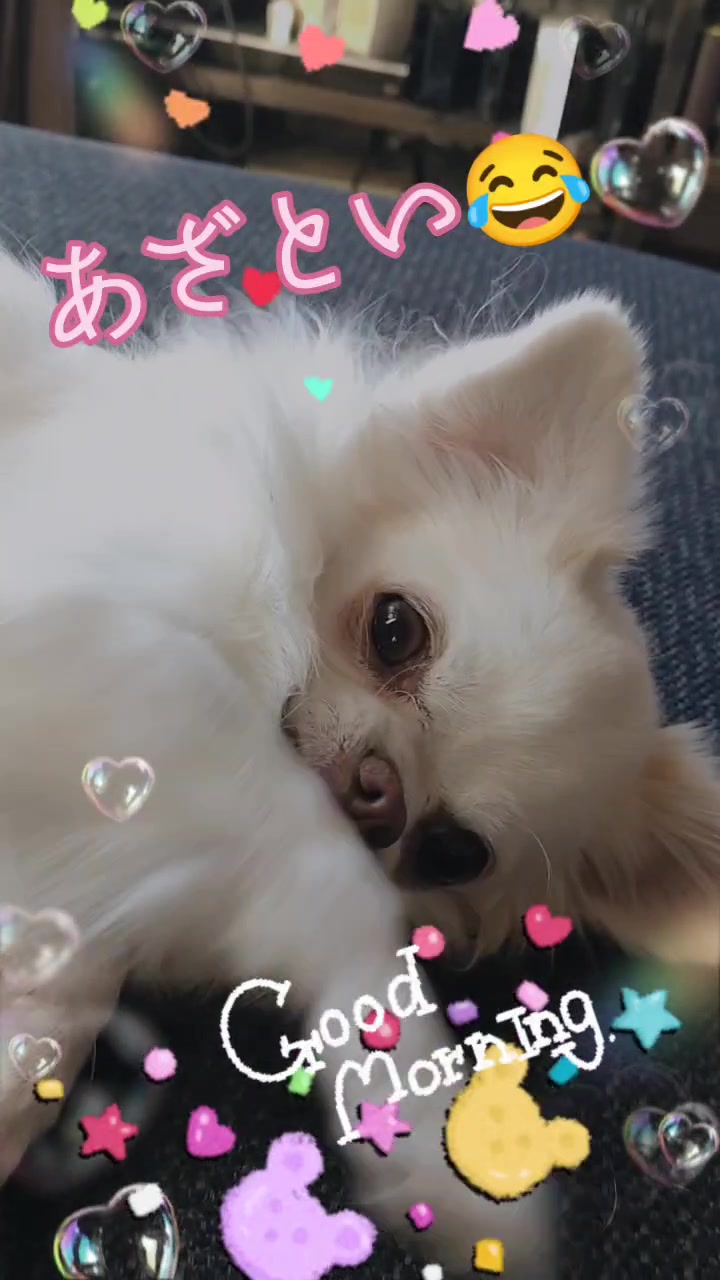 @❀.*・゚УцКд.゚・*.✿