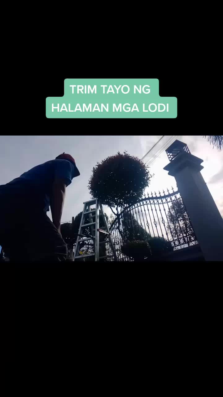 @Uldarico Malate