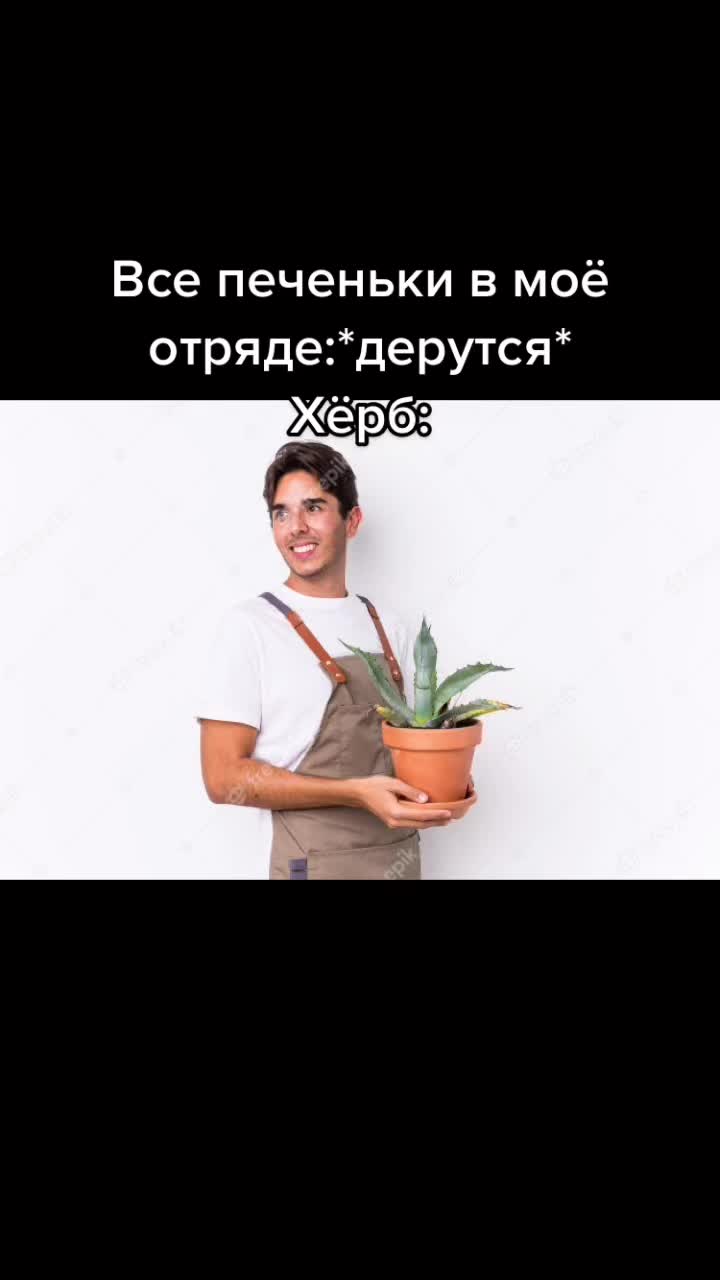 @mineko