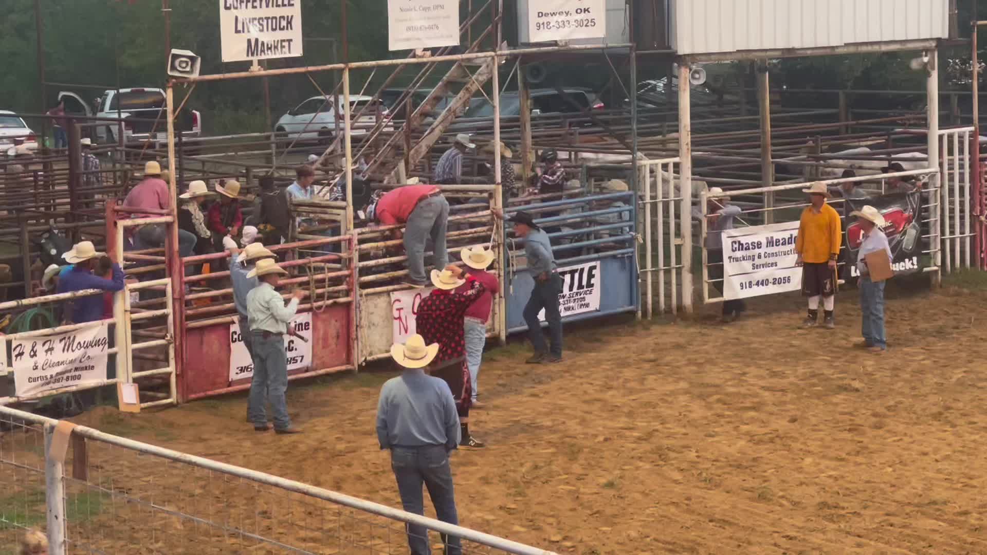 @🐂Haze Reed-Mini Bull Rider🐂