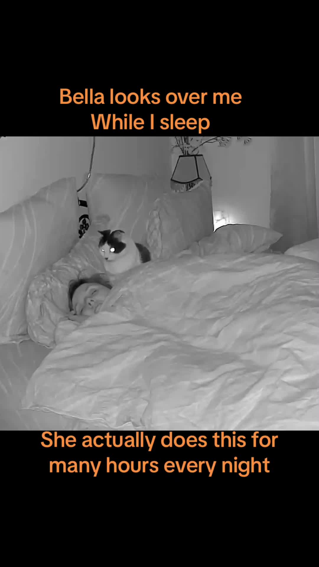 @romina_mycatfamily