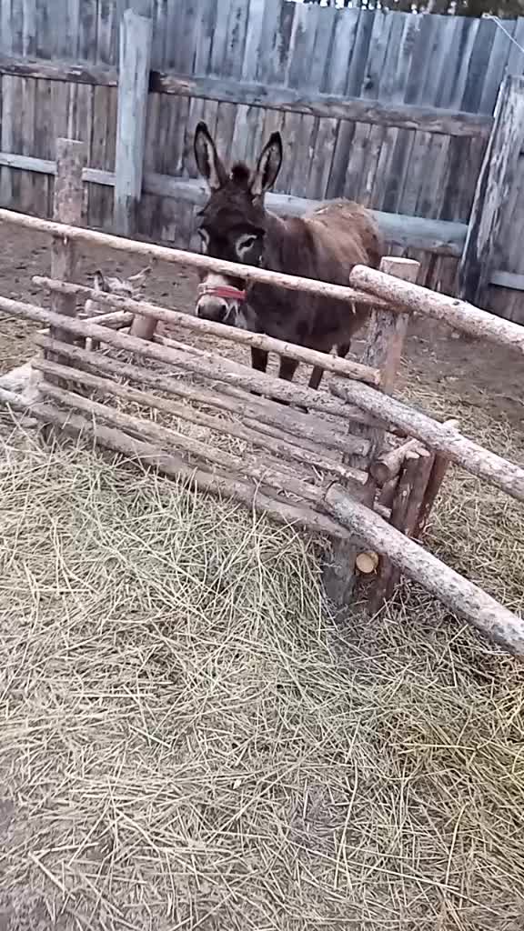 @Виктория