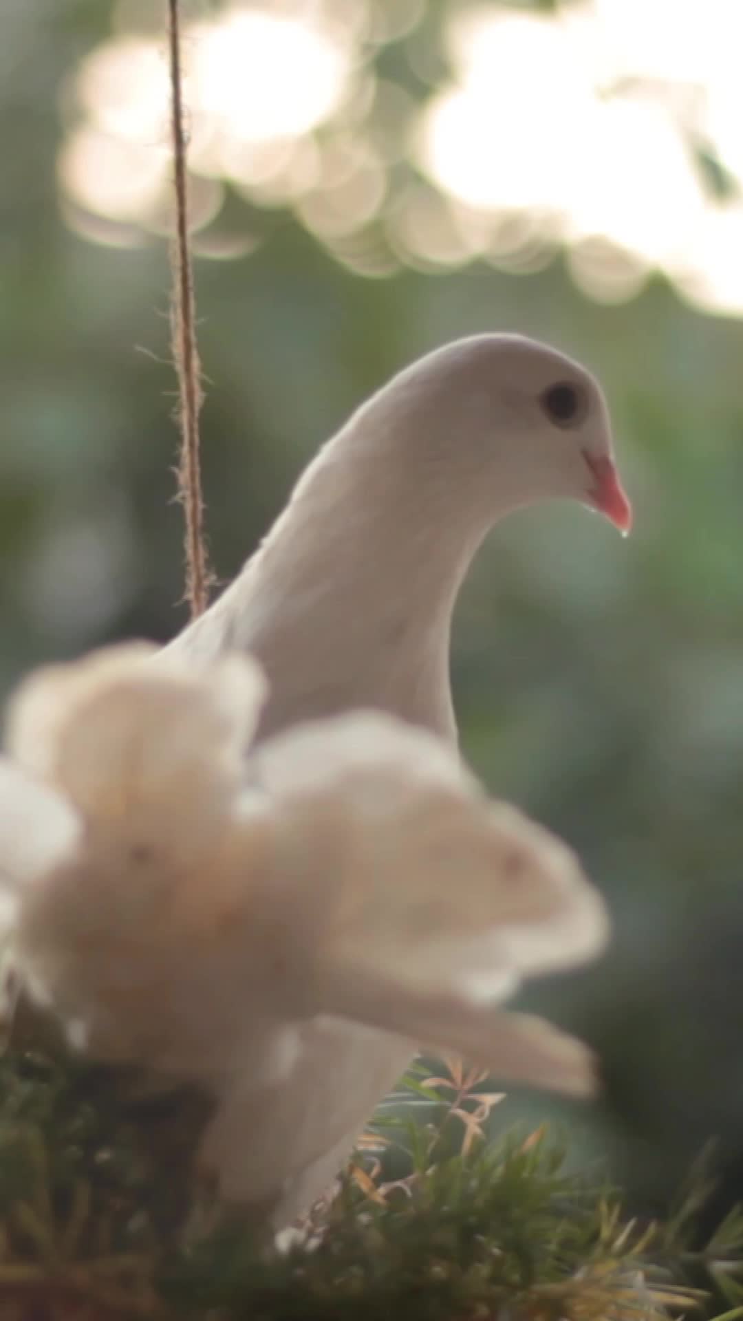 @Foodizo