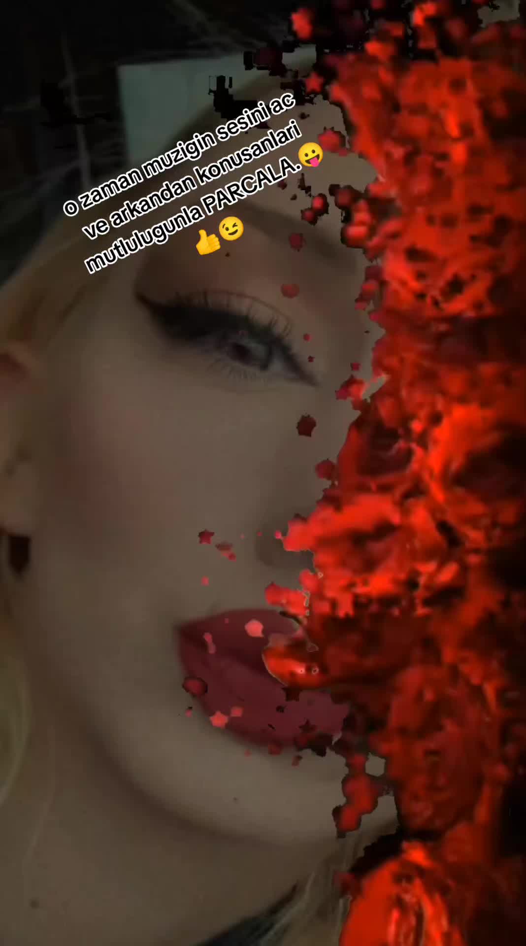 @Axina_dilemin