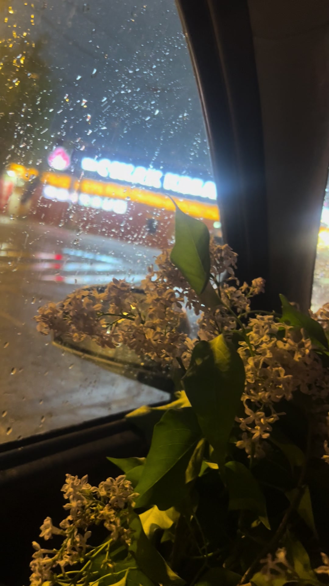 @Ибрагим Максутов