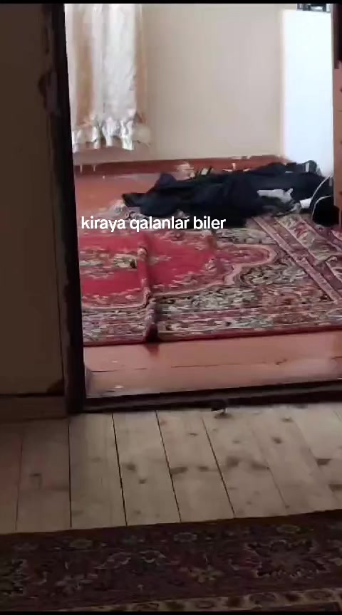 @Şahin
