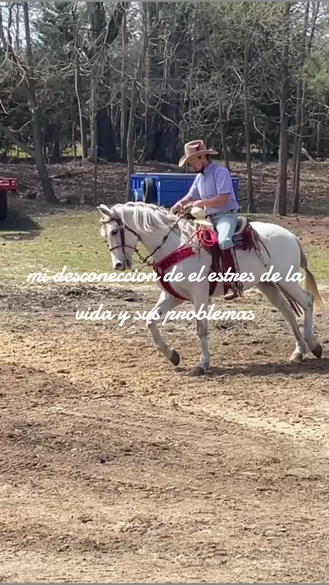 @joserefugiodiaz49