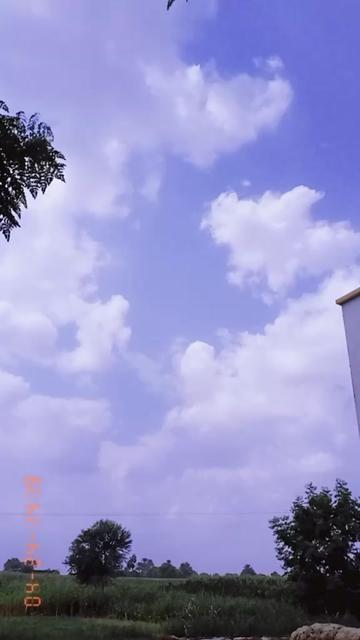 @syedshahzaibabbas5