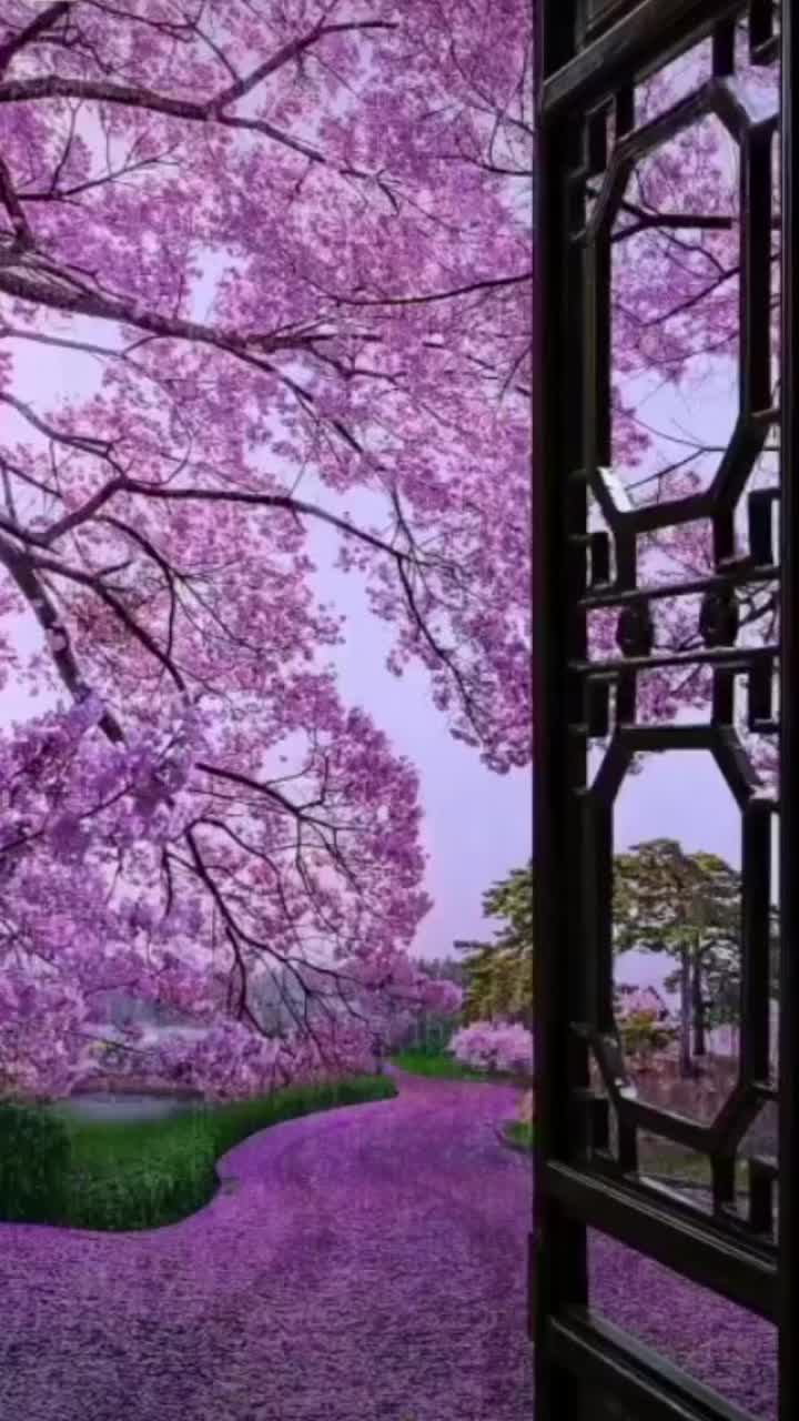 @babalupatel_20885