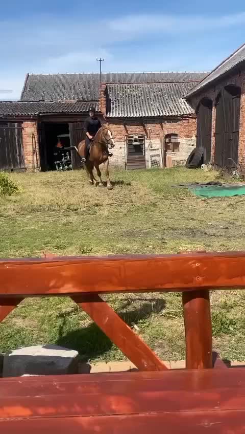 @robertstachowski02