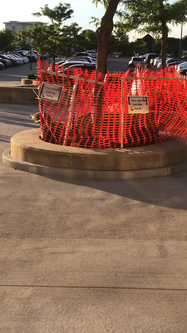 @theuglybarnacle