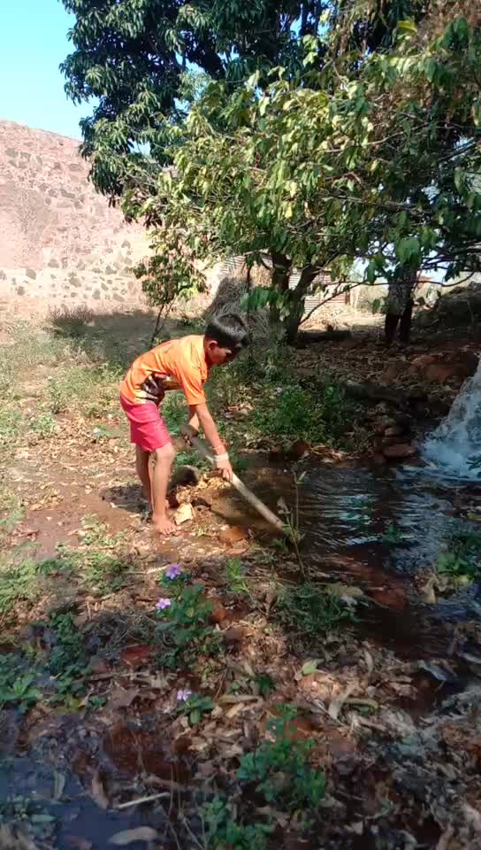 @user6982904764397