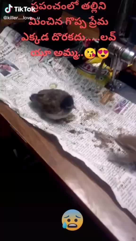 @user657986494695