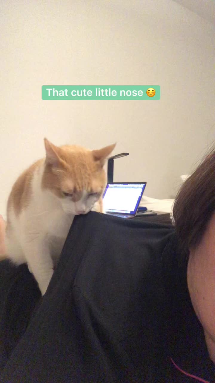 @Angela Travels Taiwan