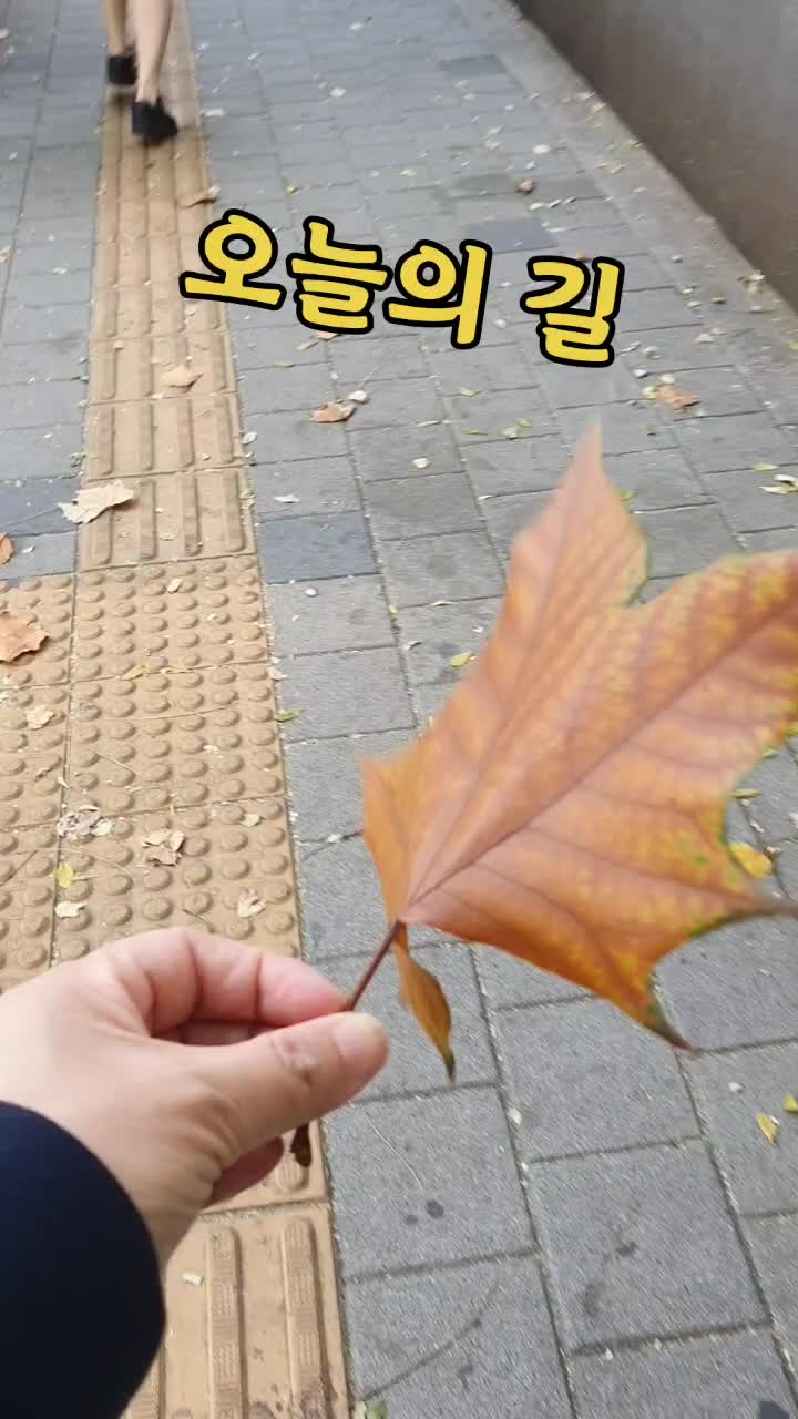 @미미다락방
