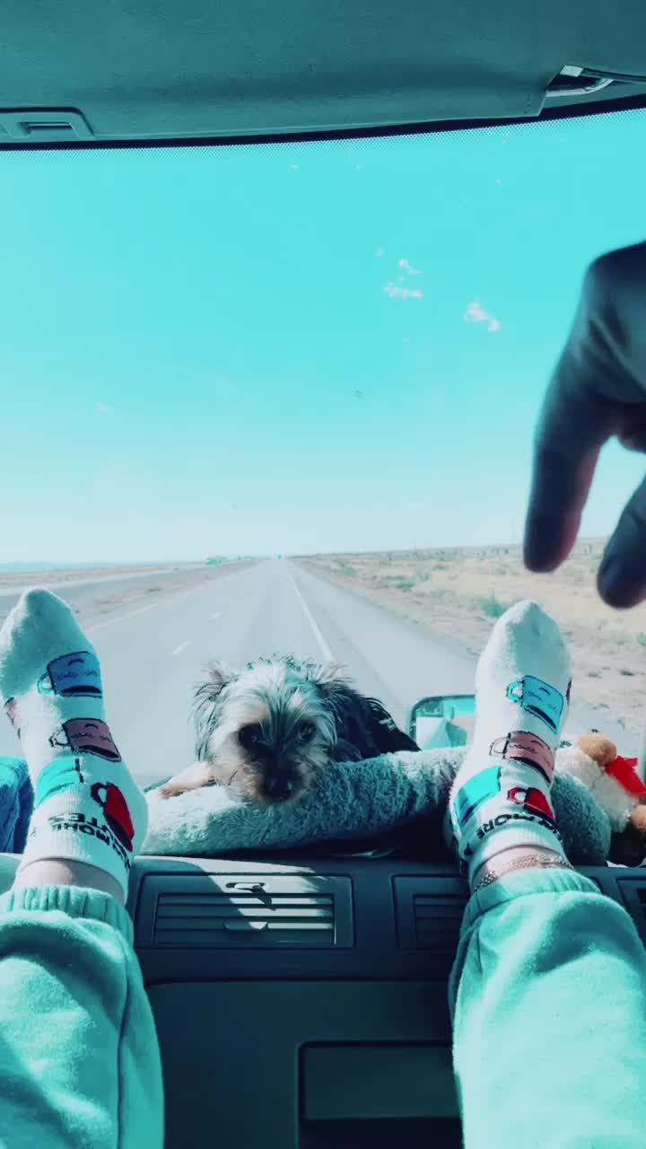 @𝐄ᥣ𝗂ƶαᑲ𝖾𝗍ɦ 𝐀ᥣ𝗏α𝗋𝖾ƶ