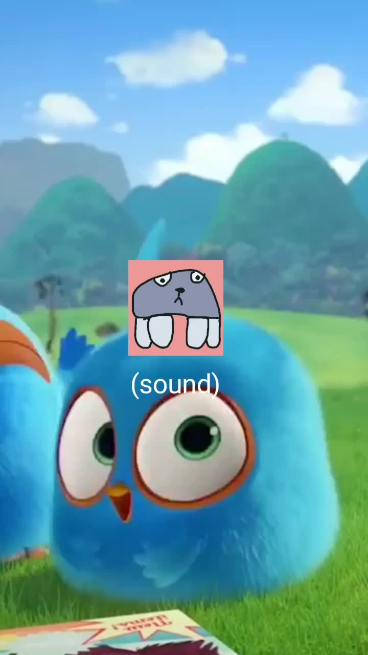 @angry cat