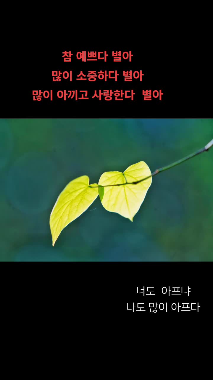 @찔레꽃