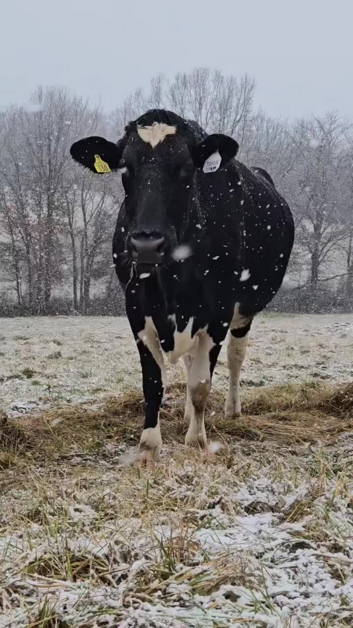 @Leaning Oaks Farm