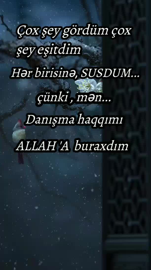 @𝚂ö𝚣𝚕𝚎𝚛í𝚗 𝙳ə𝚢ə𝚛í