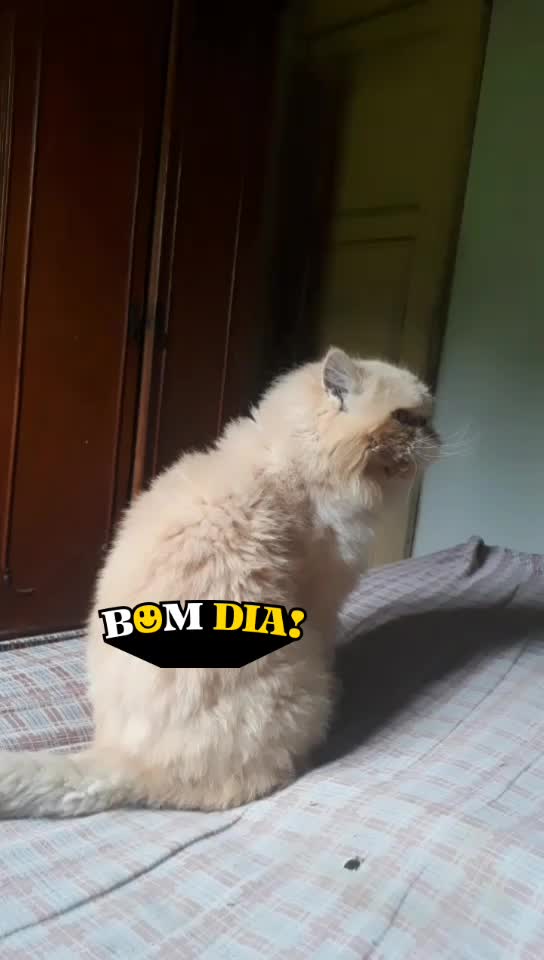 @Ismael Santos